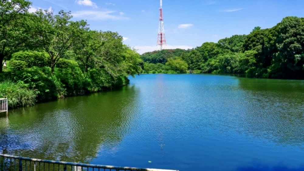 三ツ池公園