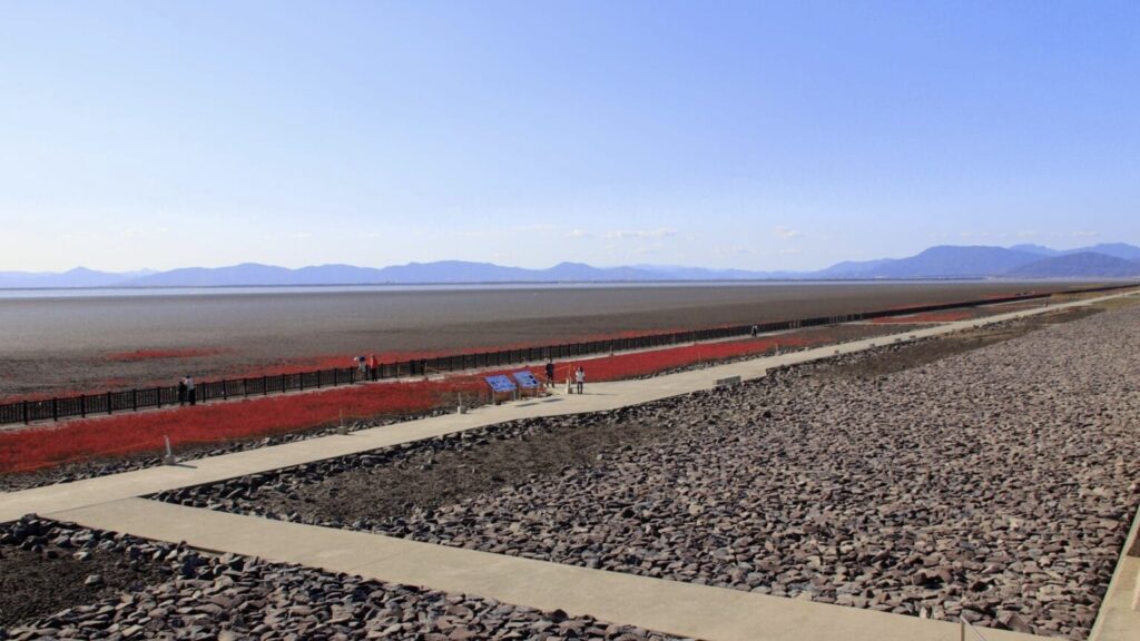 東よか干潟 大授搦