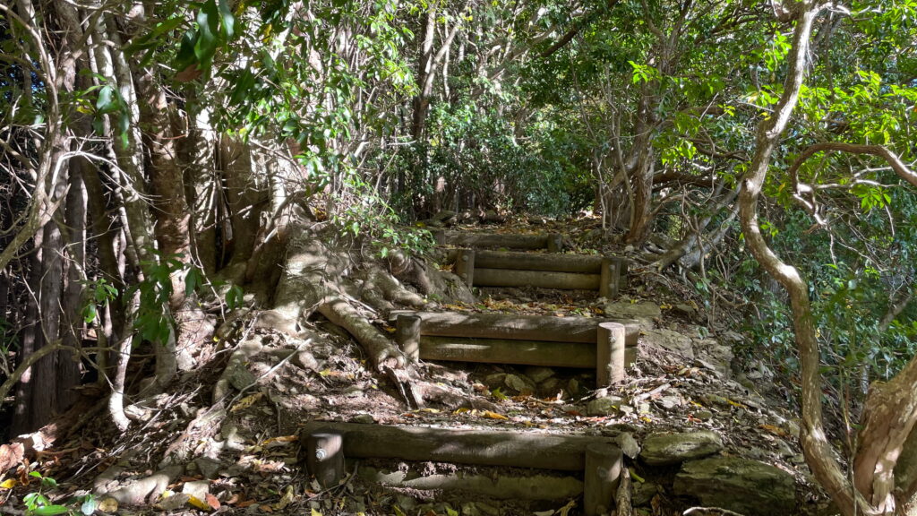 三峯神社の登山道