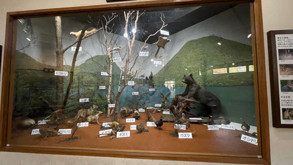 群馬県立榛名公園ビジターセンター
