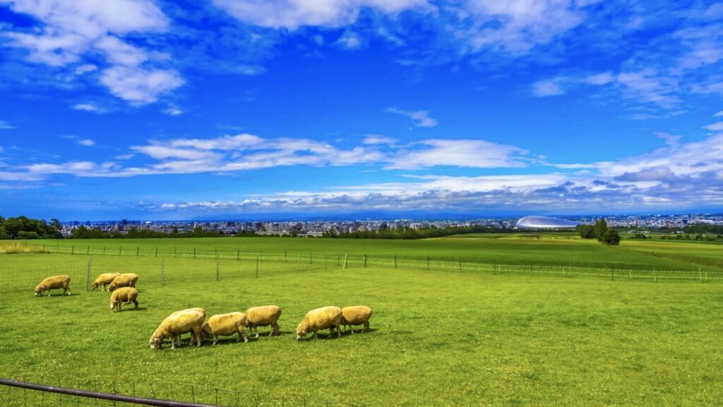 さっぽろ羊ヶ丘展望台