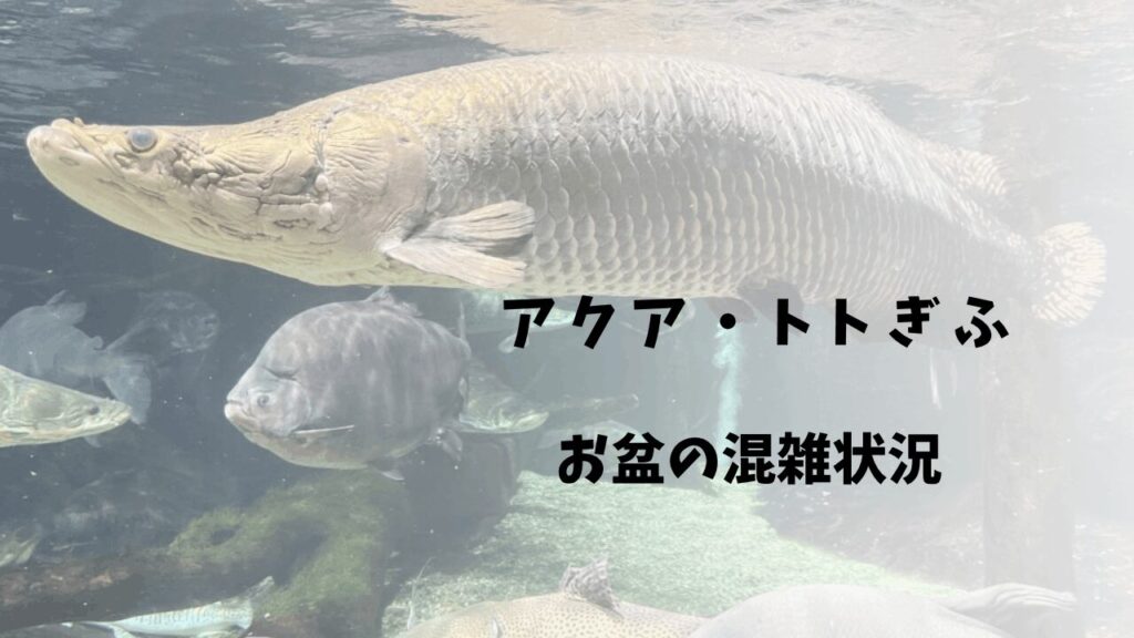 サムネ
