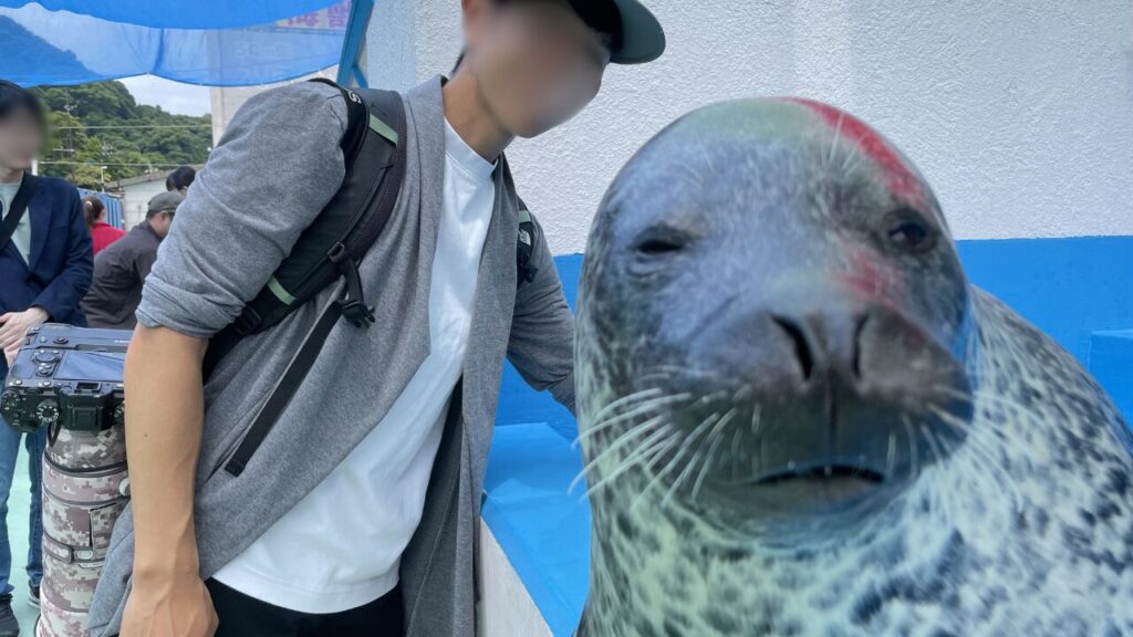 伊勢シーパラダイス　ゴマフアザラシ　ゴマちゃんタッチ