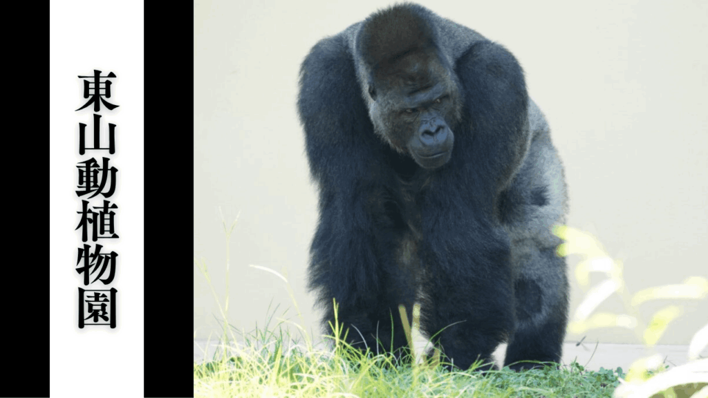 【東山動植物園】混雑状況・所要時間目安・駐車場対策＆アクセス攻略まとめ