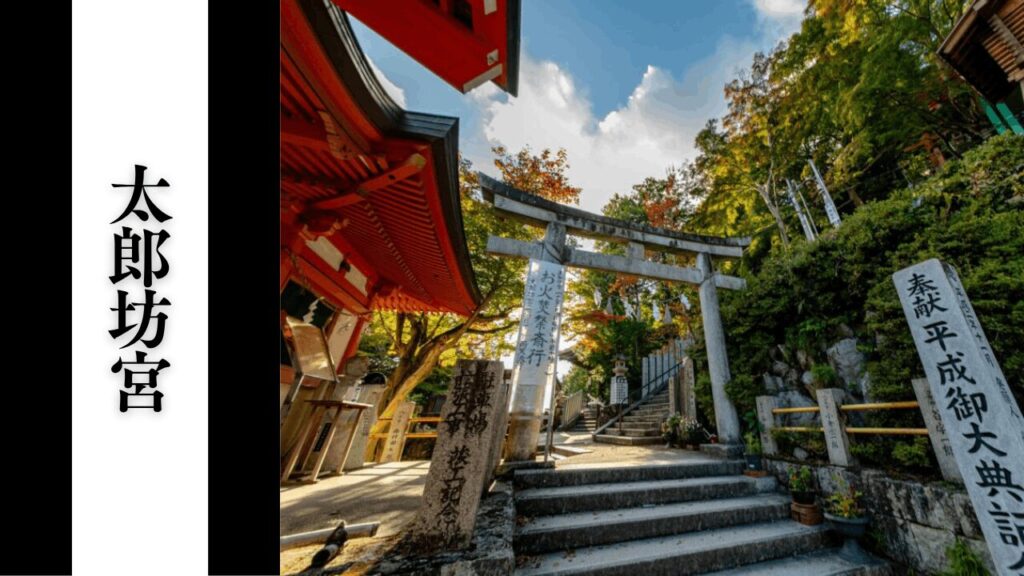 【太郎坊宮】観光所要時間・混雑状況・シーズン別混雑・見どころ攻略ガイド