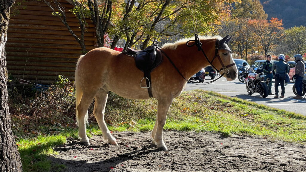 榛名湖　榛名山　榛名山ロープウェイ　馬車