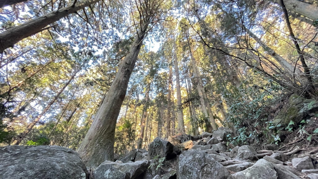 筑波山　登山道