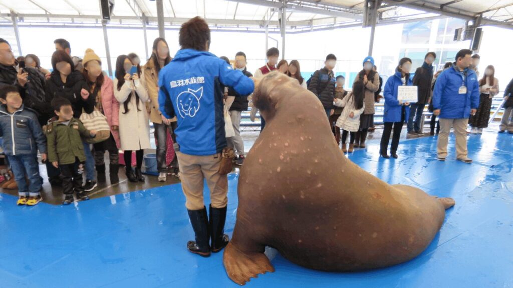 鳥羽水族館