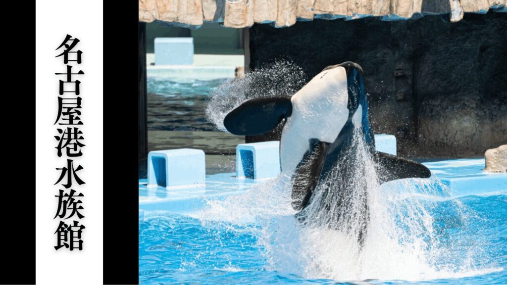【名古屋港水族館】混雑回避・アクセス・見どころ情報まとめ