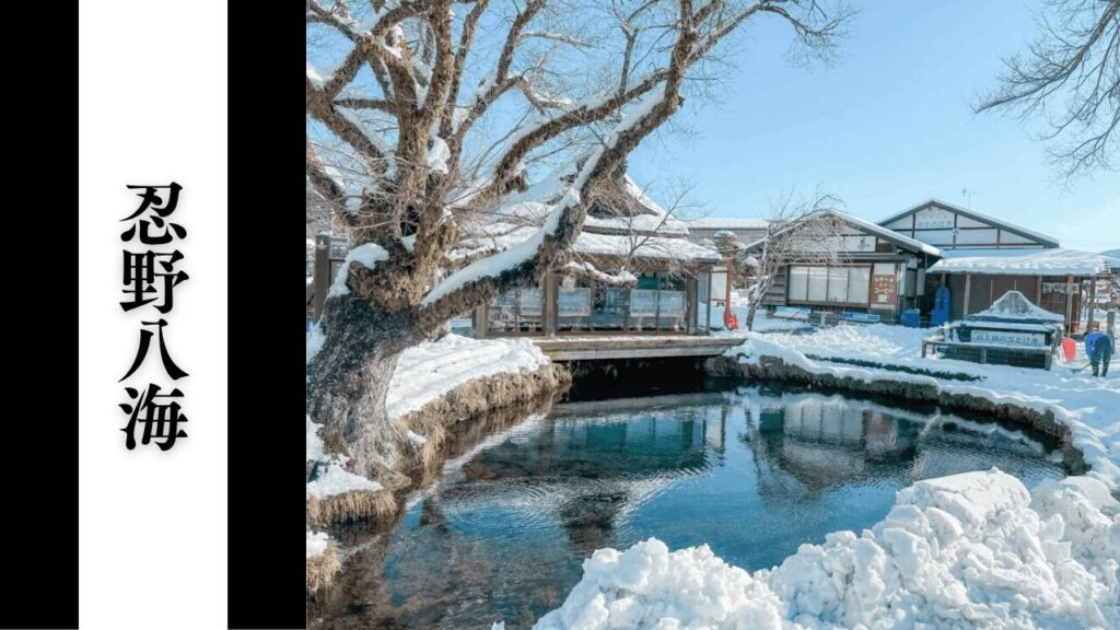 【忍野八海】観光所要時間・混雑状況・シーズン別混雑・見どころ攻略ガイド