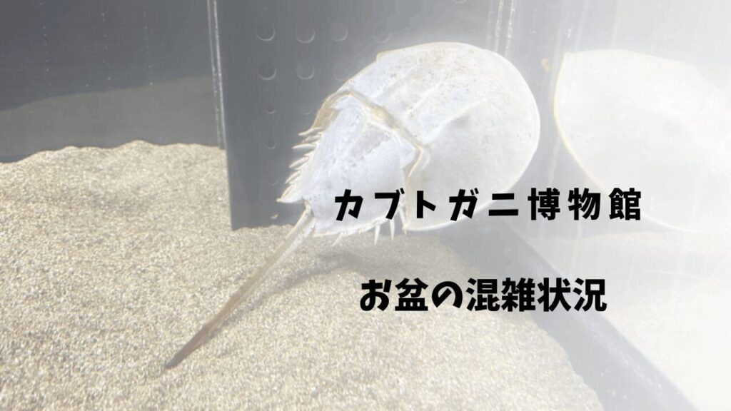 サムネ