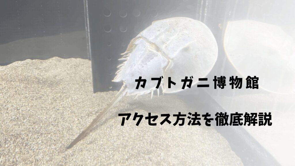 サムネ