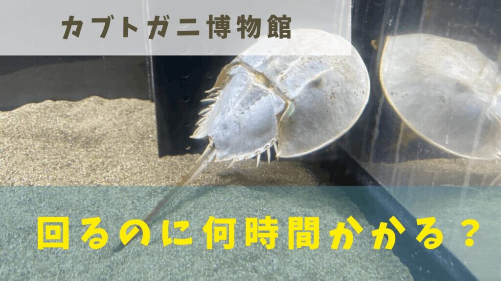 サムネ