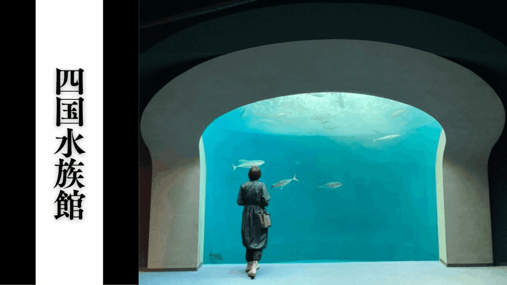 【四国水族館】混雑回避・アクセス・見どころ情報まとめ