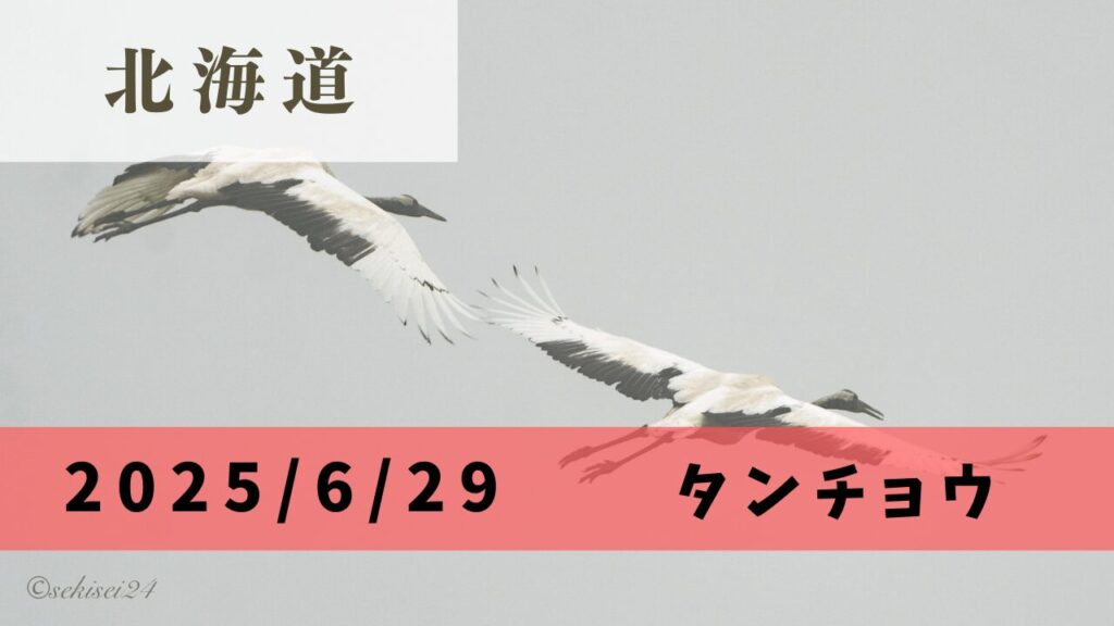 サムネ