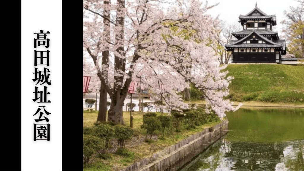 【高田城址公園】混雑回避・アクセス・見どころ情報まとめ