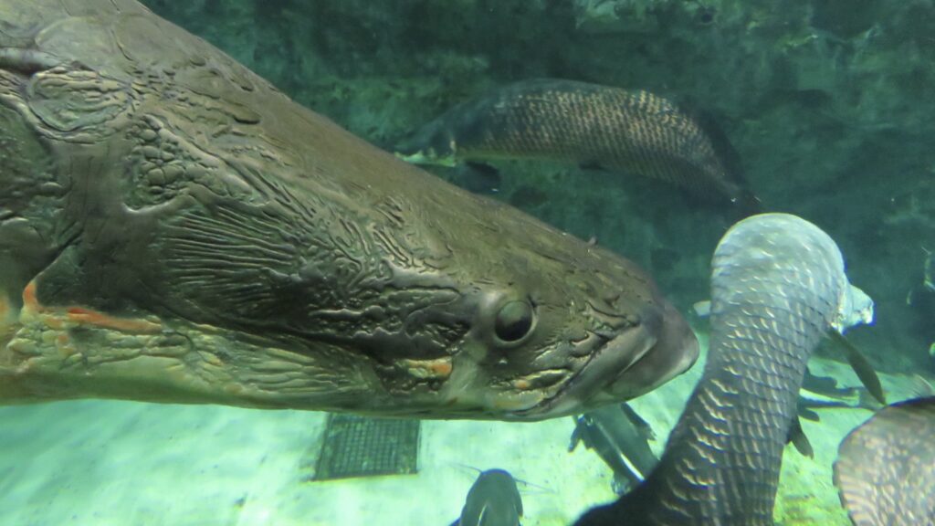 鳥羽水族館