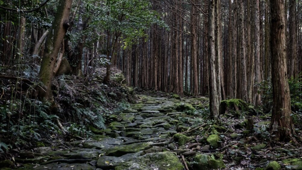 熊野古道伊勢路