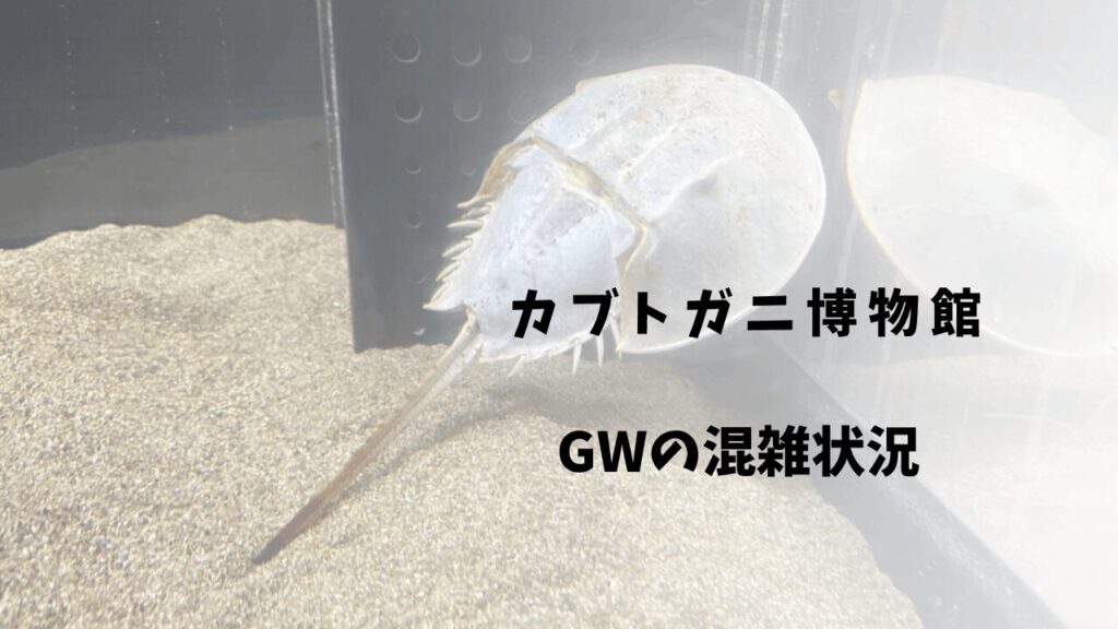サムネ