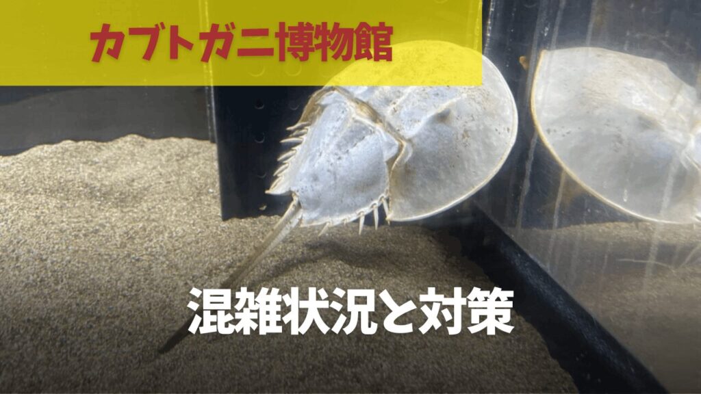 サムネ
