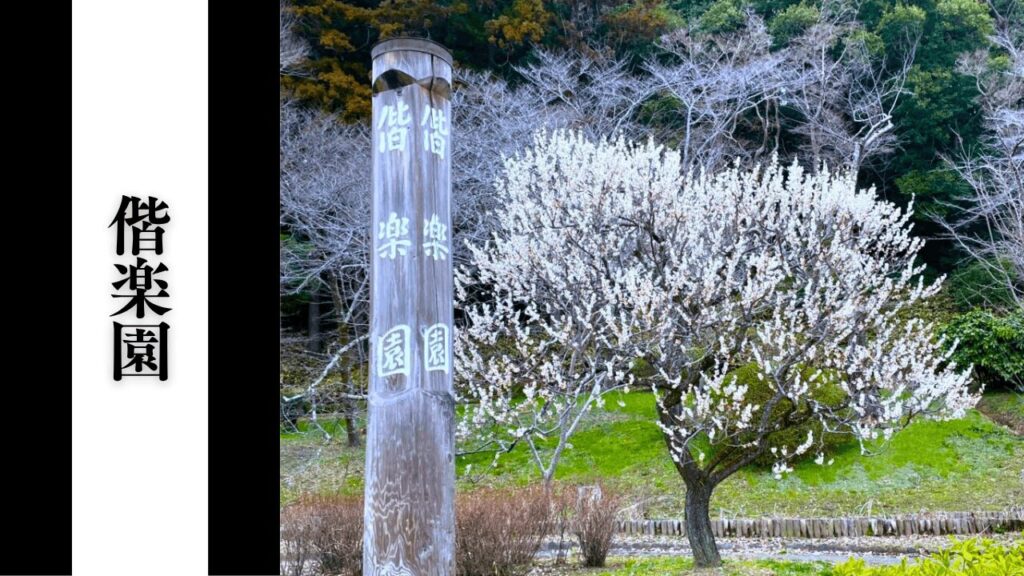 【偕楽園】混雑状況・所要時間目安・アクセス＆周辺駐車場対策まとめ