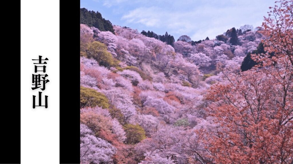 【吉野山】観光所要時間・混雑状況・シーズン別混雑完全攻略ガイド