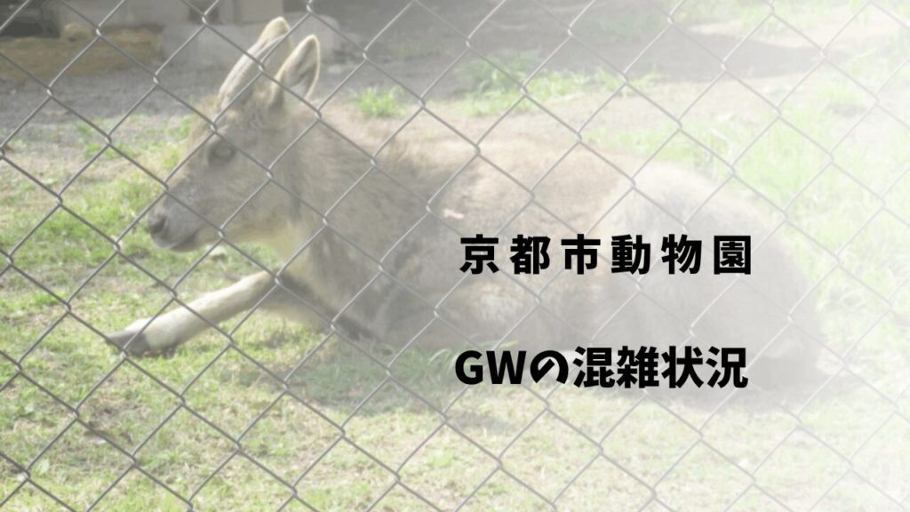 サムネ