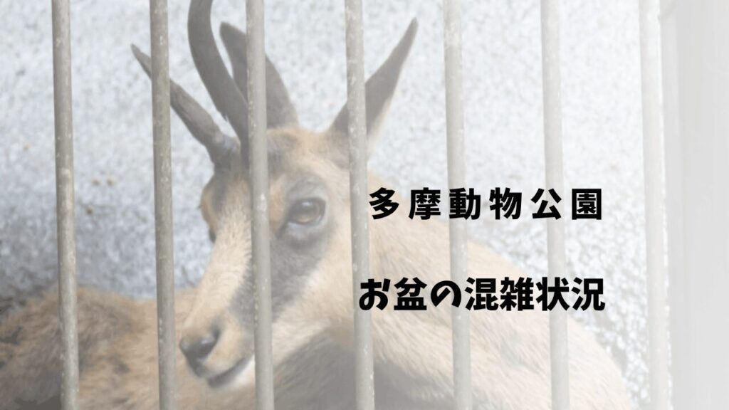 サムネ