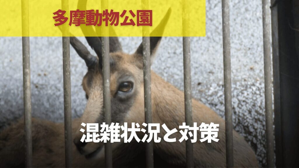 サムネ