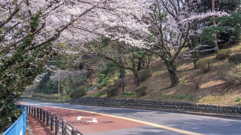 いろは坂