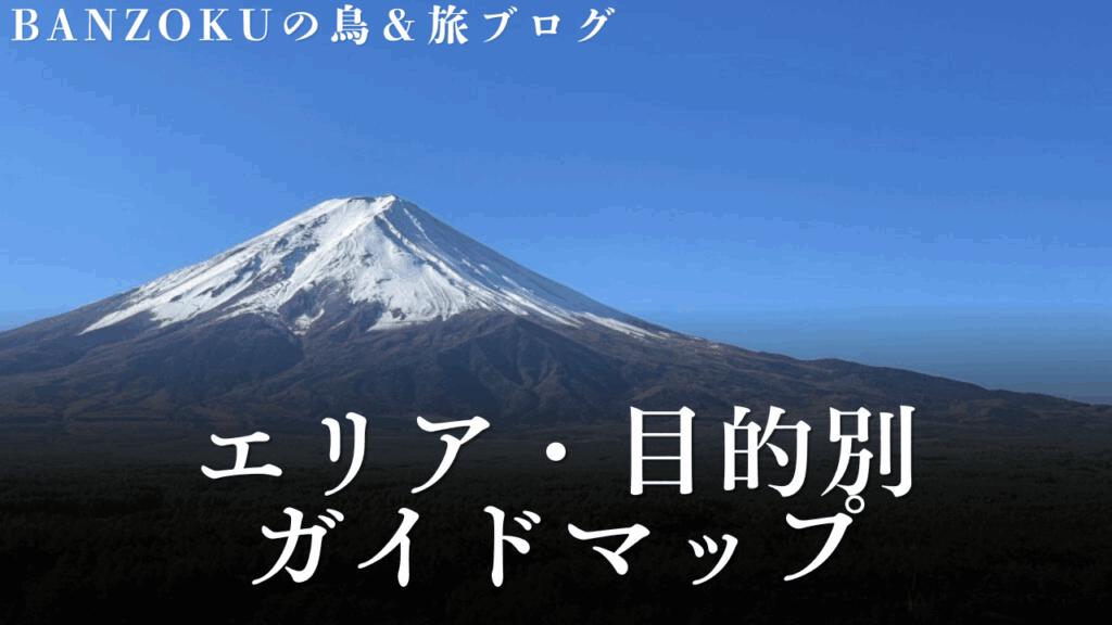 サムネ