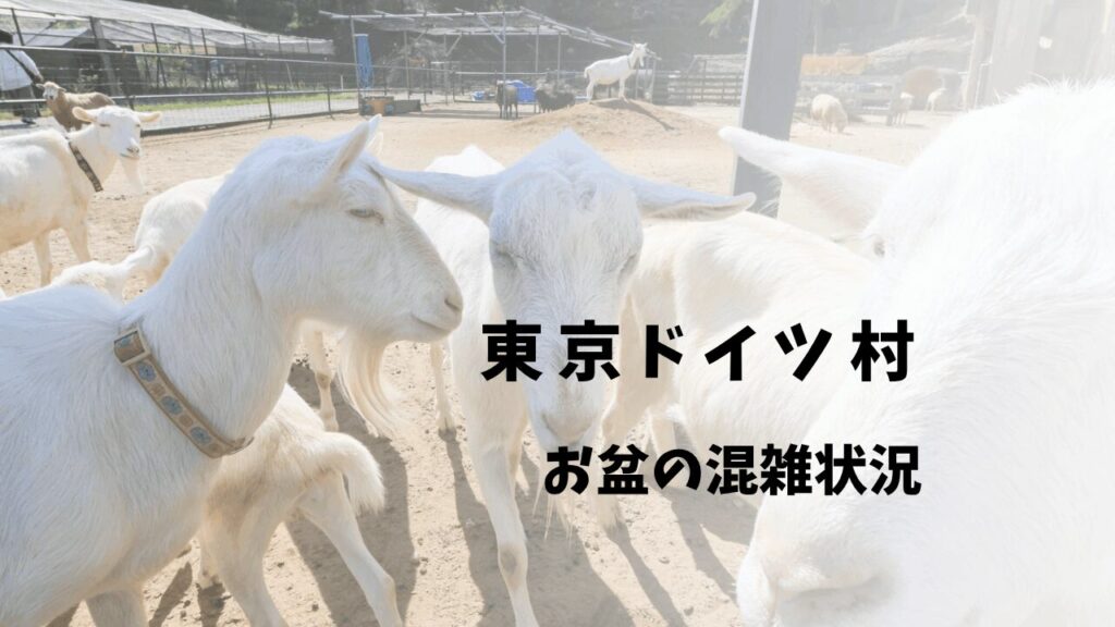 サムネ