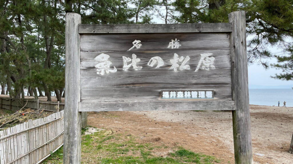 気比の松原