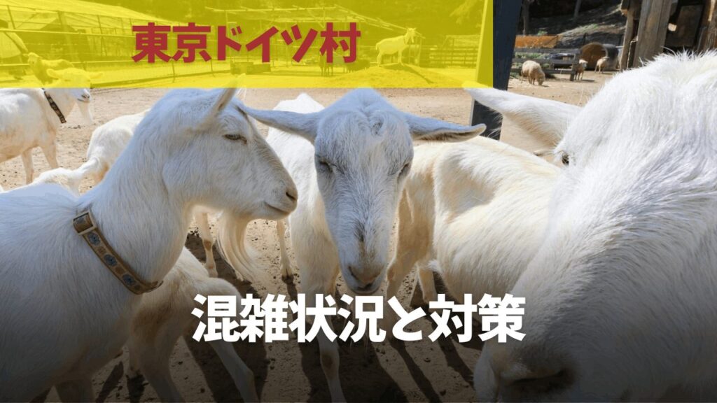 サムネ