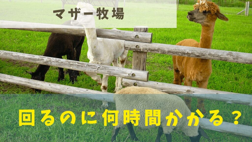 サムネ