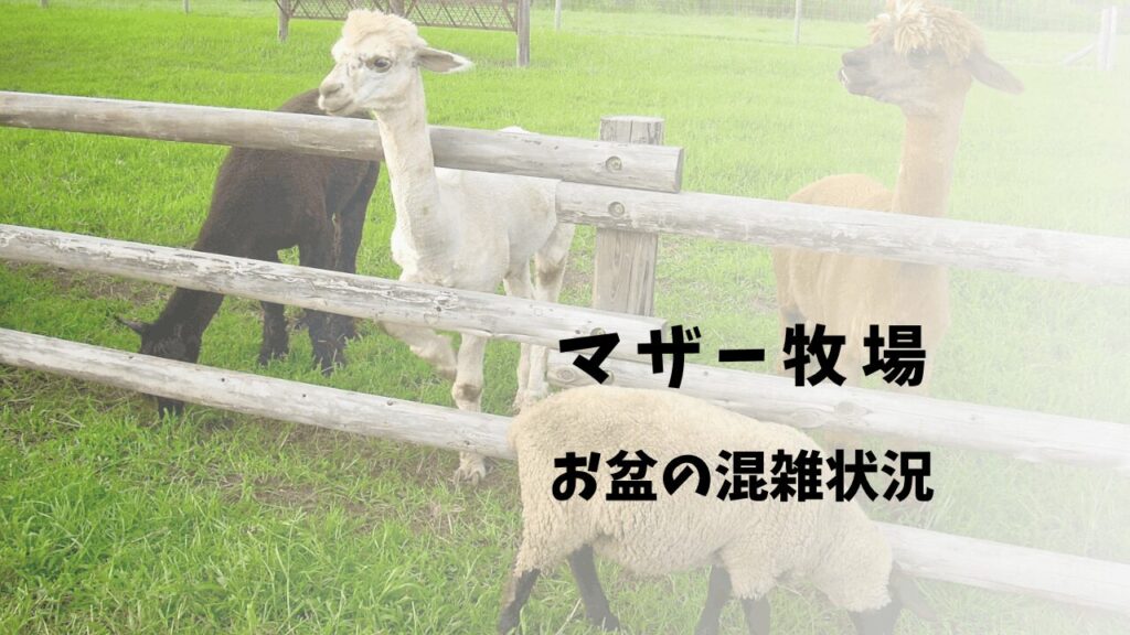 サムネ