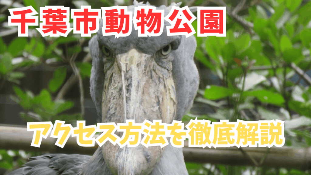 サムネ