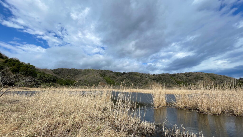中池見湿地