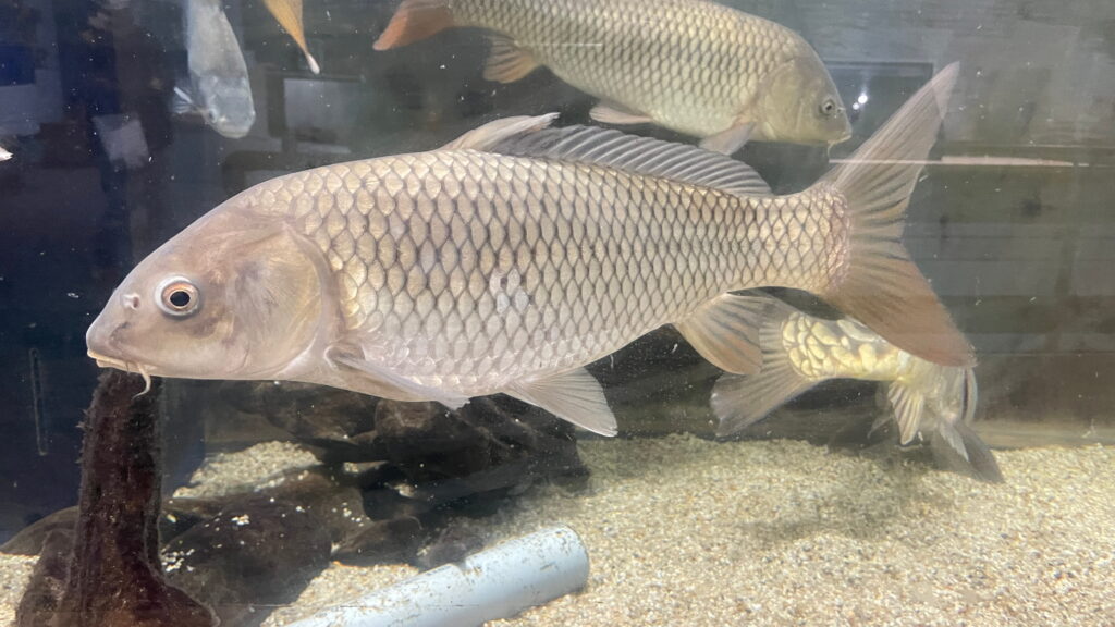 福井県海浜自然センター