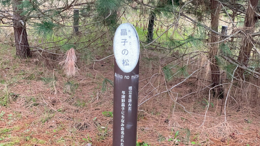 天橋立
