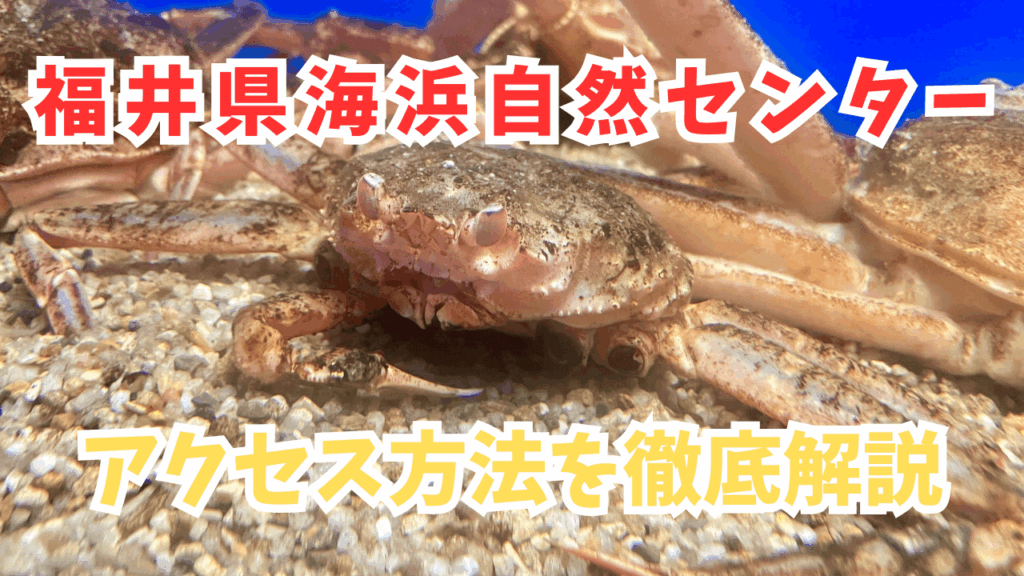 サムネ