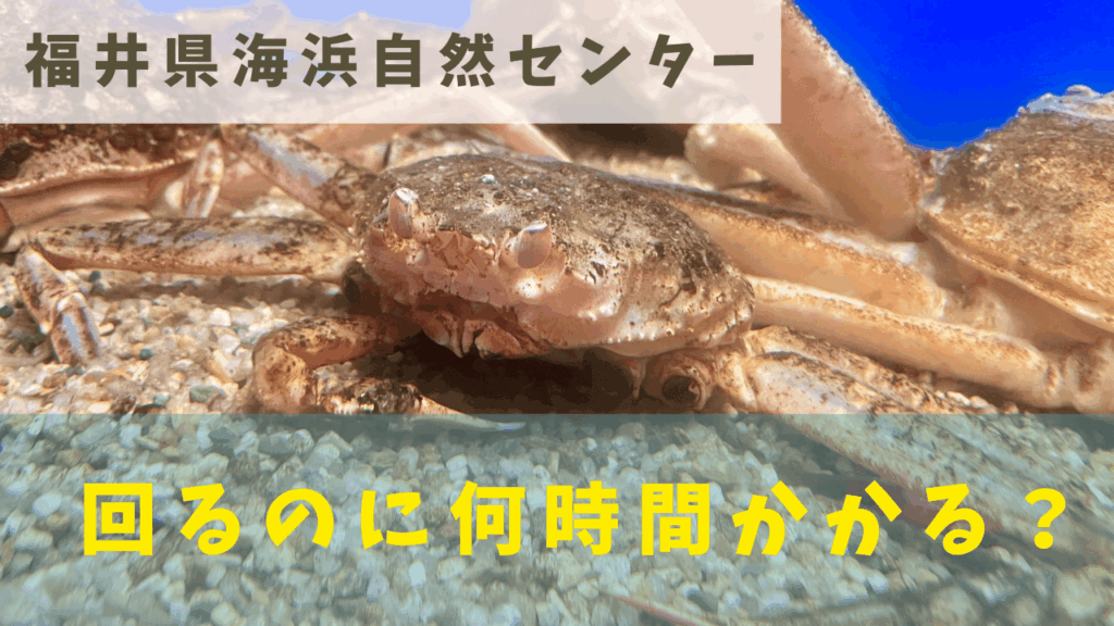 サムネ