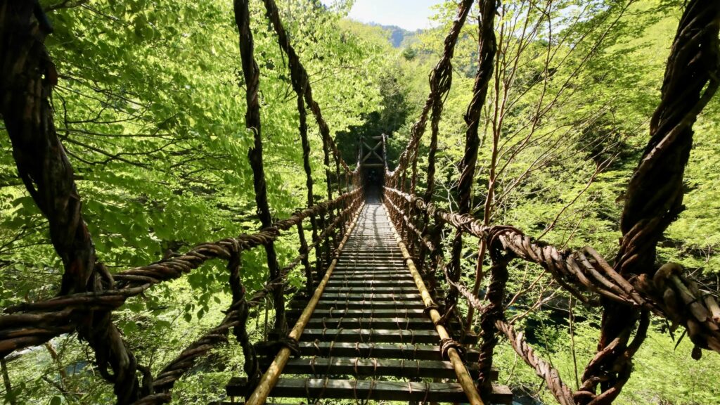 粗野のかずら橋
