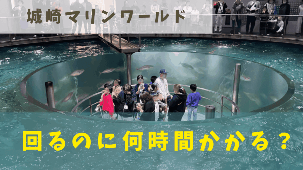 サムネ