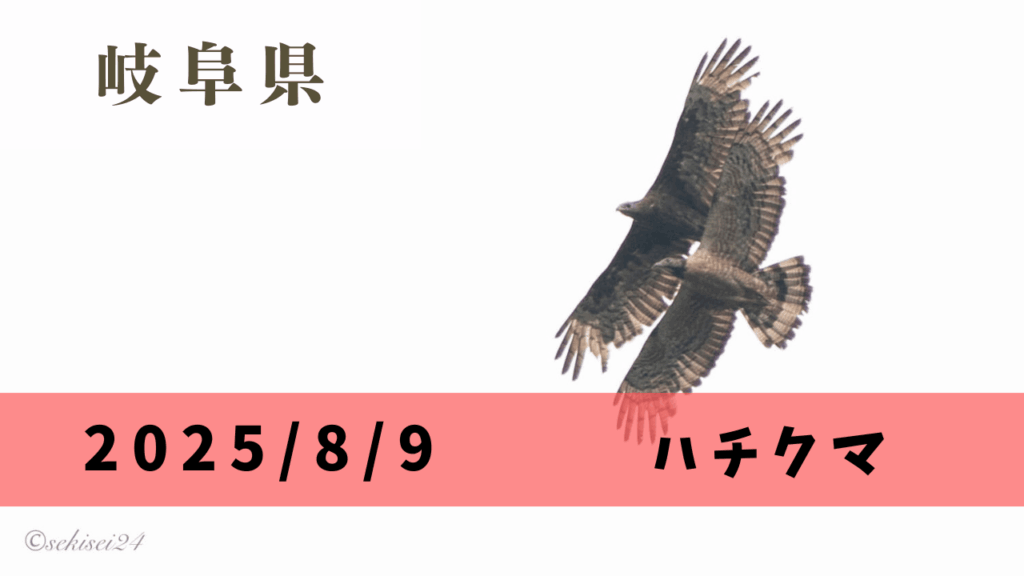 サムネ