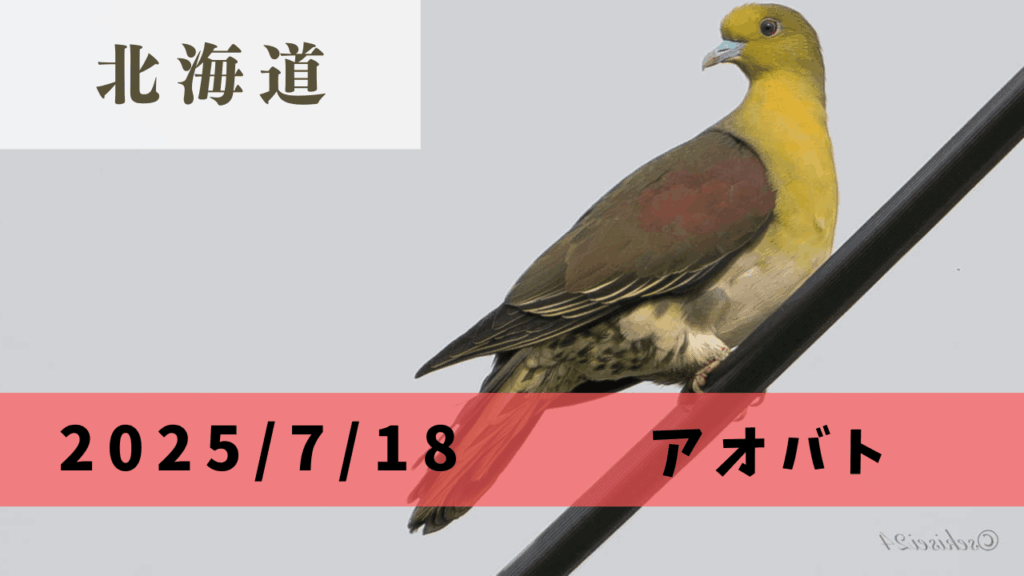 サムネ