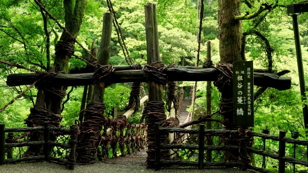 粗野のかずら橋