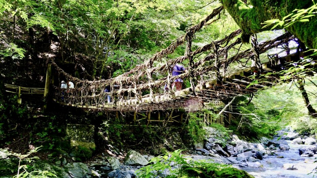 粗野のかずら橋