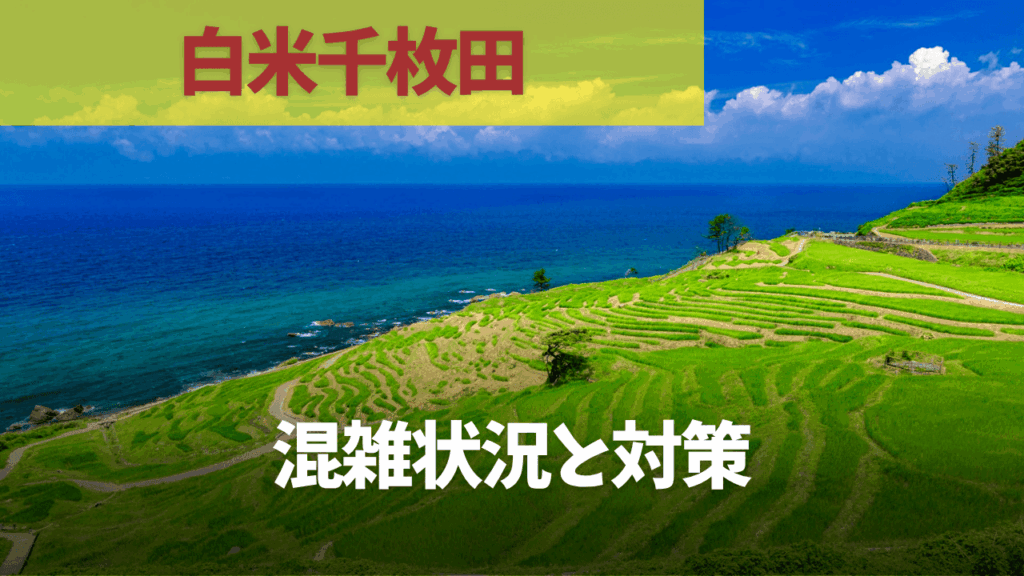 サムネ