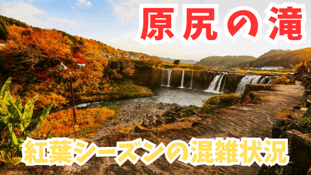 サムネ